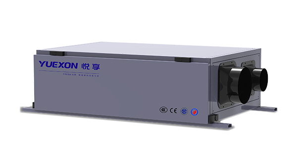 凈化除濕新風(fēng)系統45DFE